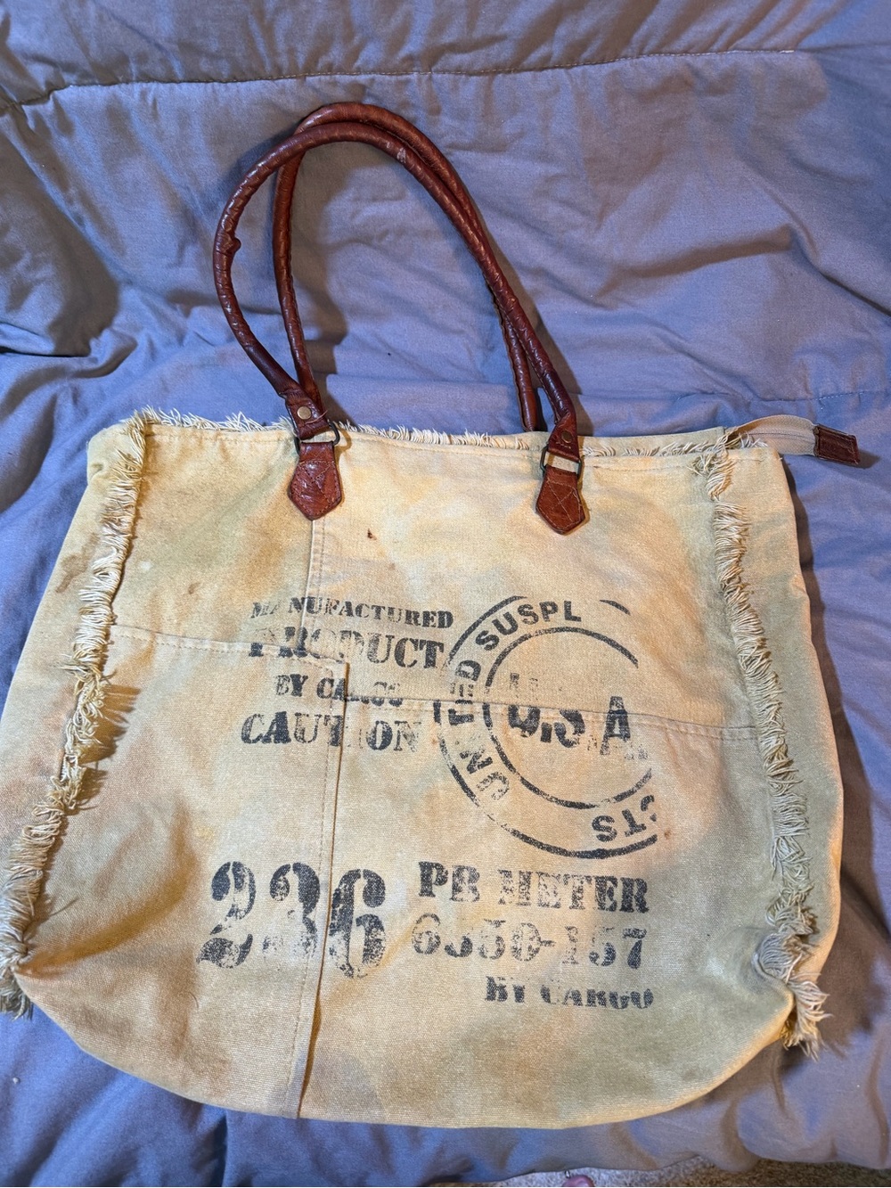 Mona B Beige Canvas Tote with Brown Leather Handles and Graphic Print